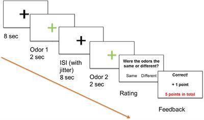 A Masked Aversive Odor Cannot Be Discriminated From the Masking Odor but Can Be Identified Through Odor Quality Ratings and Neural Activation Patterns